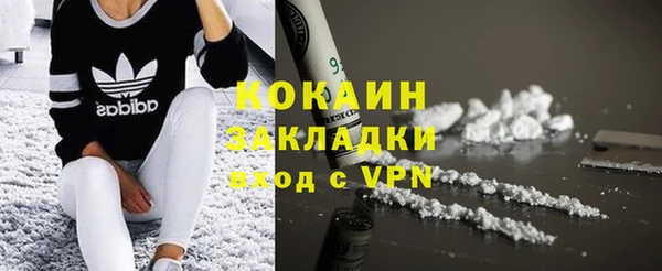 прущие грибы Покров