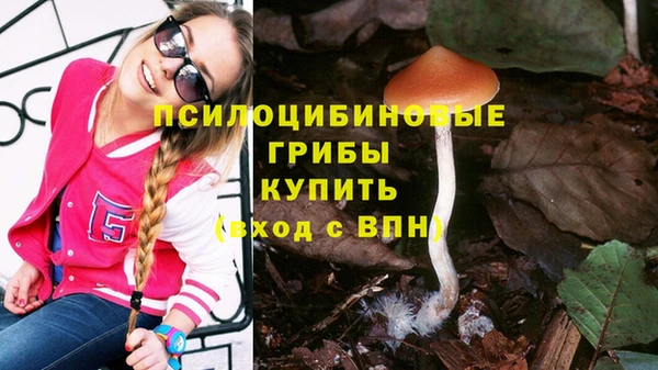 хмурый Балахна