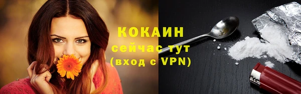 прущие грибы Покров