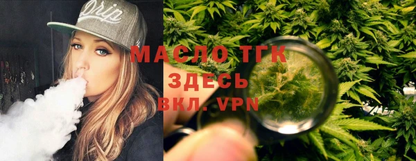 индика Покачи