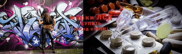 индика Покачи